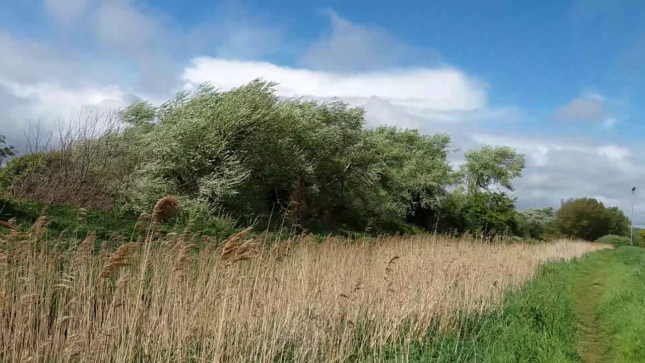 Coombe Valley. St Leonard-on-sea. Hastings. East Sussex.Uk(2)