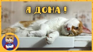 Рыжик возвращается из Москвы домой в Алматы. Обратная дорога Рыжик возвращается из Москвы домой в Алматы. Обратная дорога