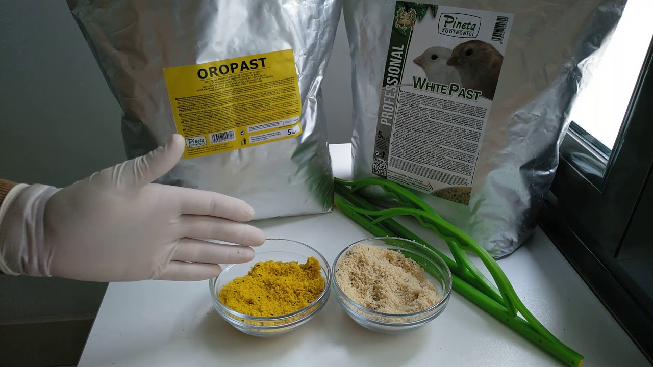 ME CAMBIO A LA PASTA AMARILLA ¿POR QUÉ?