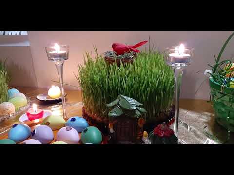 Novruz Bayramınız mübarək olsun. Mətanət İsgəndərli.