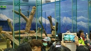 102 01 07 園仔樂開懷