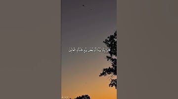 قَالَ كَمْ لَبِثْتُمْ فِي الْأَرْضِ عَدَدَ سِنِينَ || القارئ اسلام صبحي