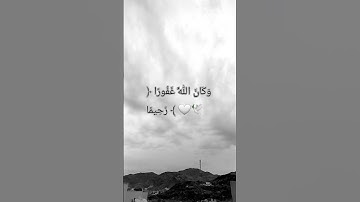 #quran #المصحف #تلاوات #اكسبلور #لايك #تيك_توك #الرحمن #ترند