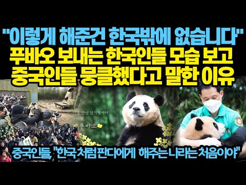 &quot;이렇게 해준 건 한국 밖에 없습니다&quot; 푸바오 보내는 한국인들 모습 보고 중국인들 뭉클했다고 말한 이유