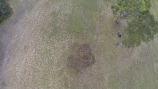 Floaty Dives