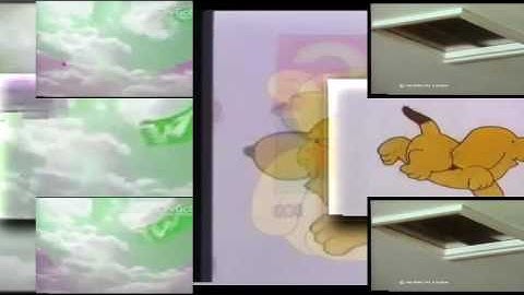 13 shuric scans are with slides (jayden