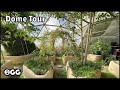 Lush Geodesic Dome Greenhouse in the Desert