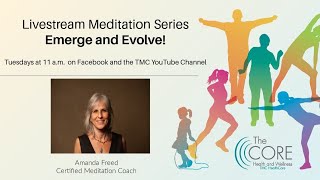 Emerge and Evolve! Guided Meditation with Amanda Freed