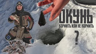 Нужен ли окуню кормовой мотыль?