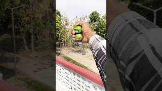 Jbl Mini Sound Testing