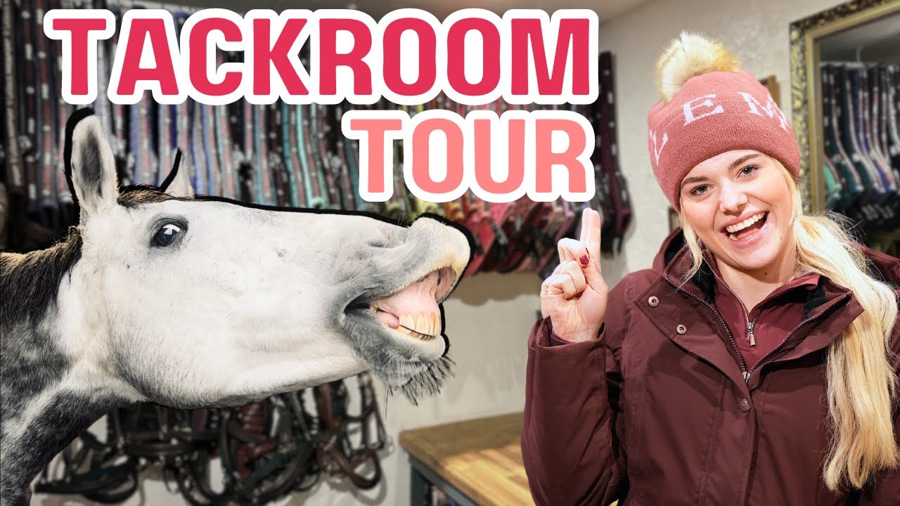 ОБНОВЛЕНИЕ ТУРА ПО КОМНАТЕ TACK ROOM!