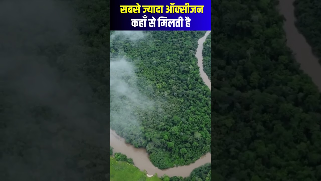 best facts about Amazon wild 