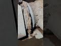 Yet another Corsa rotten subframe