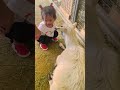 Her first time with a goat