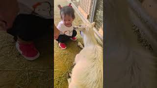 Her first time with a goat