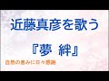 『夢絆』/近藤真彦を歌う_014 by 自然の恵みに日々感謝