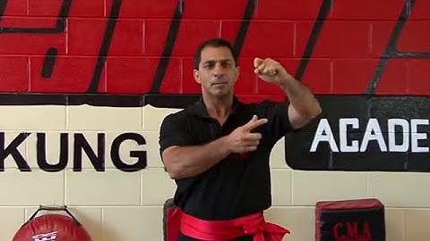 Mantis Kung Fu - Martial Art Southern Praying Mantis