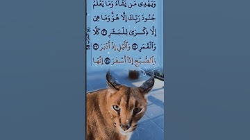 شيخ نورين سورة المدثر وما يعلمونا جنود ربى