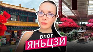 видео: КИТАЙ: ВЛОГ ЯНЬЦЗИ 2025 | Чем заняться? Исследуем популярные места. картинка: КИТАЙ: ВЛОГ ЯНЬЦЗИ 2025 | Чем заняться? Исследуем популярные места.