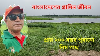 বাংলাদেশের গ্রামিন জীবন Rural life in Bangladesh  Manushমানুষ