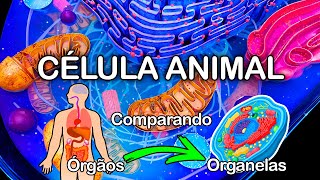 Learning about Animal Cells just got so easy! Learning about Animal Cells just got so easy!