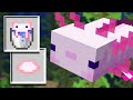 How will Axolotls work in Minecraft 1.17? (PREVIEW)