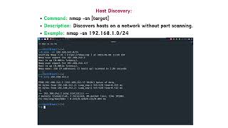 Nmap Quick Reference Guide : Host Discovery