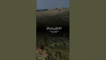لا تقنطوا من رحمة الله .قرآن كريم #اكسبلور #لايك #تلاوة_خاشعة #قرآن #لبنان #lebanon