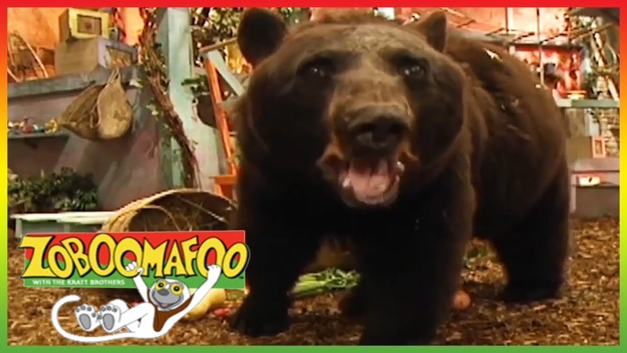 🐵🐻 Zoboomafoo 123 | Bears | Animal shows for kids | Full Episode