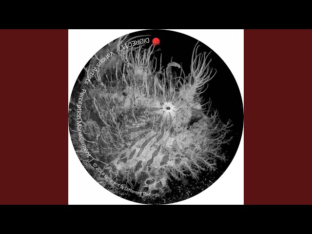 Twitched (Alberto Ruiz 'Personal' Remix)