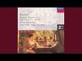 Miniature de la vidéo de la chanson Trio For Piano, Violin, And Cello No. 1 In B Major, Op. 8: Iii. Adagio