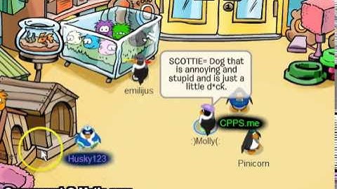 Random video starring husky123 of cpps me!