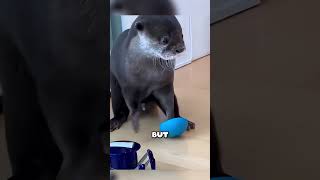 his spider-like robot scared a little otter pup #trend  #facts #animals #pets