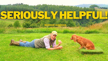 Introduction To PLACE BOARDS  For Pet & Gundog Training