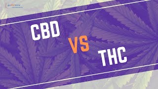 CBD vs THC | The Shocking Truth You NEED to Know | #goMDnow