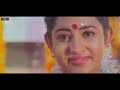 Chigurida Kanasu | Singara Tene Teneyalla | HD Video Song Kannada | ShivarajKumar,RekhaUnnikrishnan Mp3 Song
