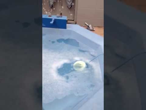 James throws a bath bomb in the hot tub - YouTube