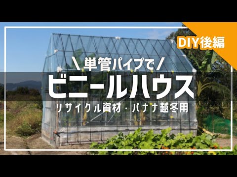 Finally completed! [DIY vinyl greenhouse made from single pipes 