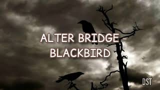 Alter Bridge - Blackbird (Sub Español/Lyrics)
