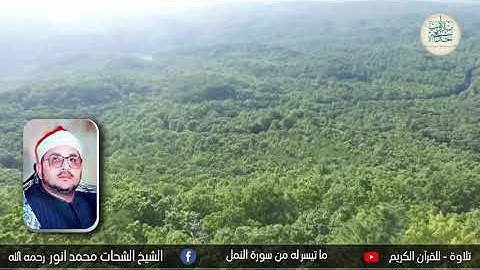 رائعة الشيخ الشحات محمد أنور - وما تيسر له من سورة النمل