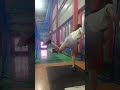 爆音のストレート #バッティング女子 #野球女子