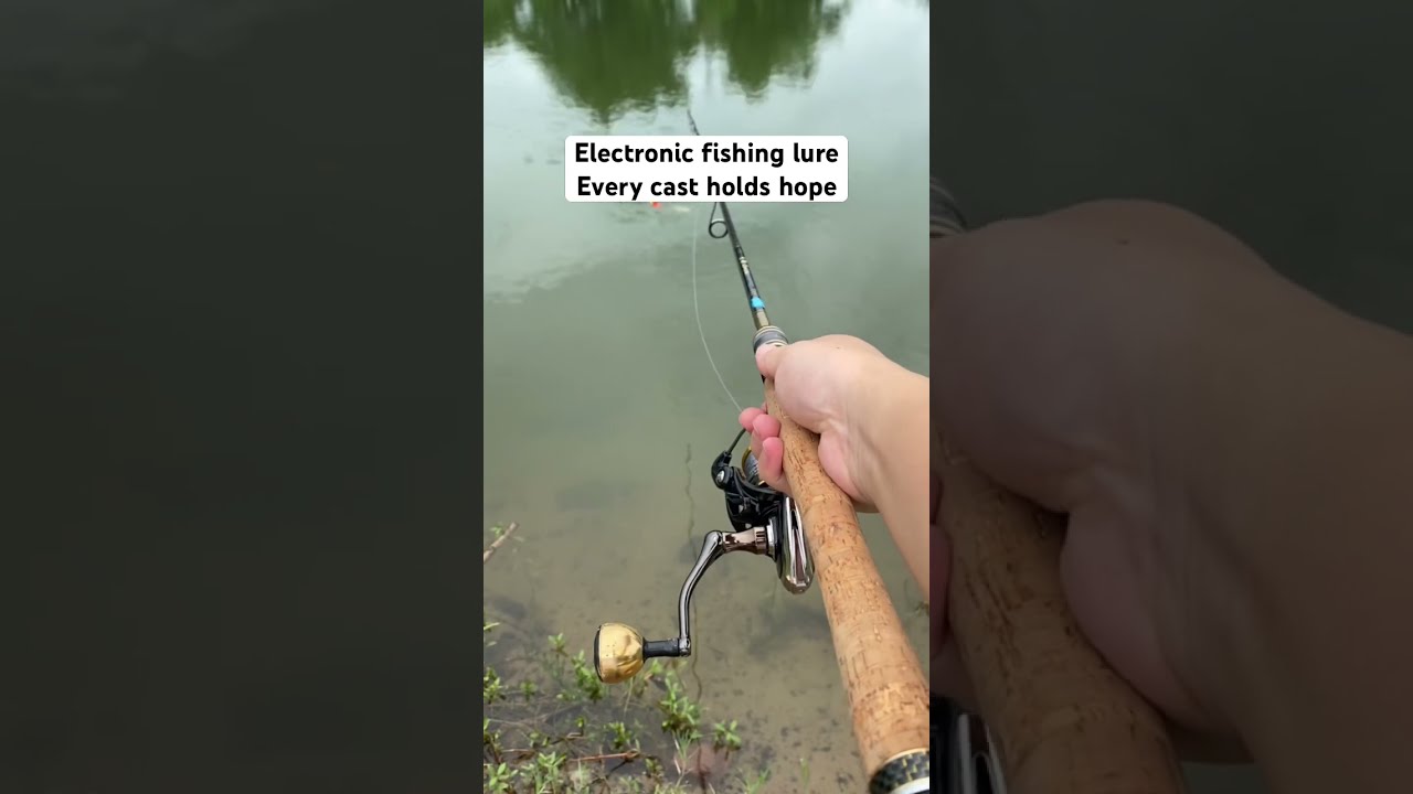 Our Robotic Swimming Fishing Electric Lures Durable 3D Eyes Hooks Fishinglure Electricfishinglure