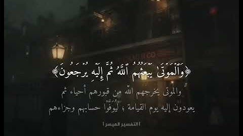 حاله واتس تلاوه هادئه الشيخ ناصر القطامي ❤️❤️2022