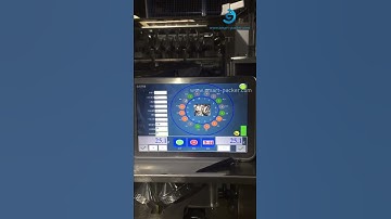 Double set multi weighing heads vertical bag form fill seal packaging machine VFFS