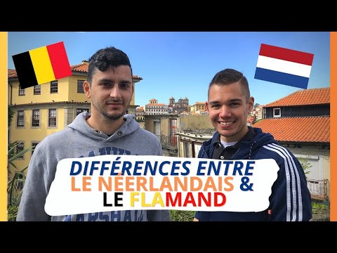 Quelles sont les différences entre le flamand et le néerlandais des Pays-Bas ? Le flamand ? ????