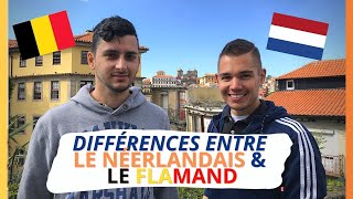 Différence entre le néerlandais et l'allemand