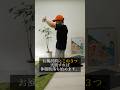 お風呂前にこの3つ実践すれば体脂肪落ち始めます。#ダイエット #痩せる方法 #ストレッチ #トレーニング