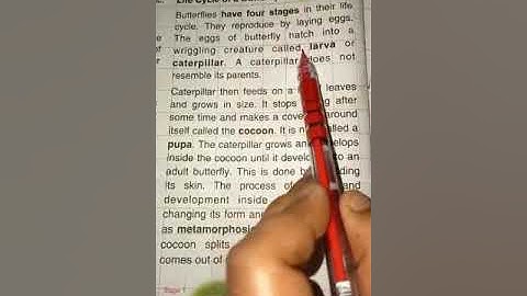 Class 3 Subject-General Science Ch-5 Animals: some common insects (Part-3)