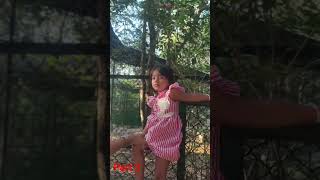National park Bengaluru #enjoy #cutebaby #funpark #animals