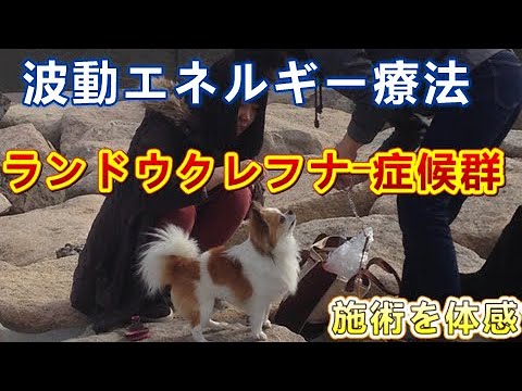 症候群 ランドウ クレフ ナー